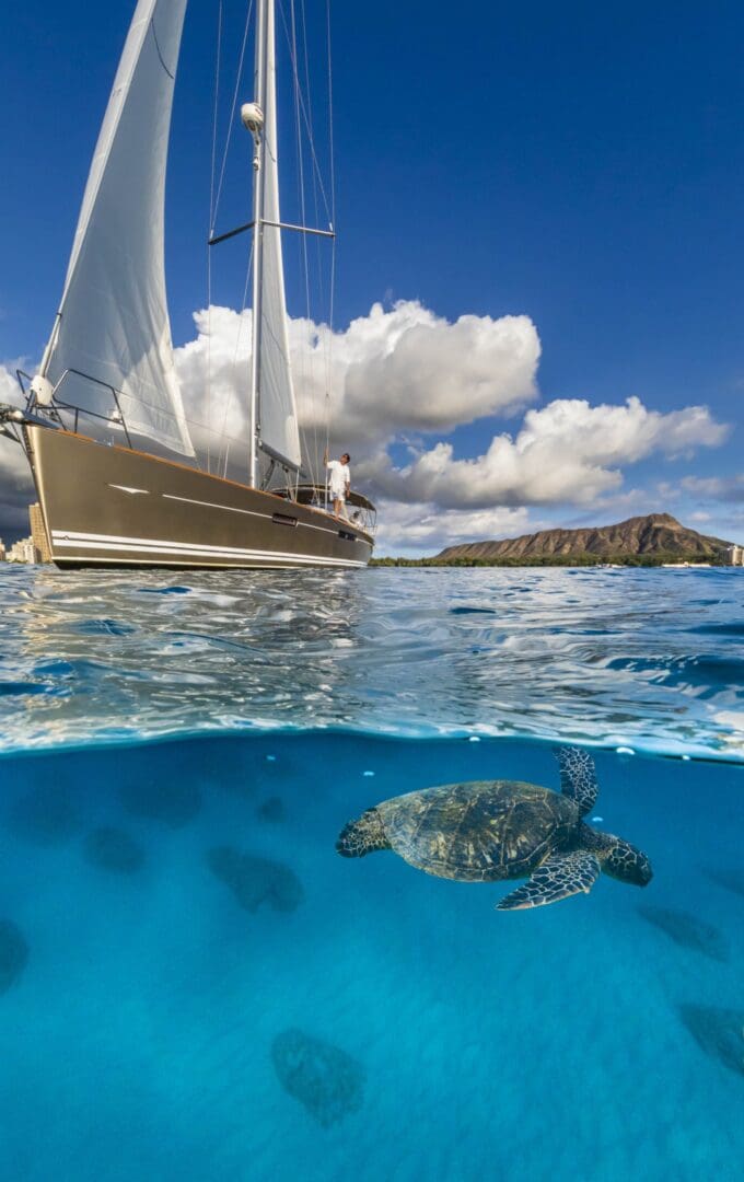 A turtle is swimming in the water near a boat.