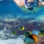 A man swimming in the ocean with fish.