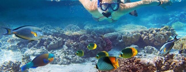 A man swimming in the ocean with fish.